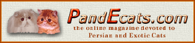 PandEcats.com