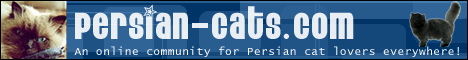 persian-cats.com